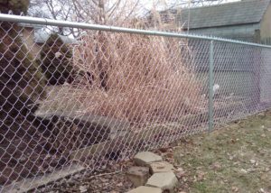 Chain Link Fence 4' Galv